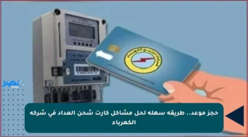 حجز موعد.. طريقة سهلة لحل مشاكل كارت شحن العداد في شركة الكهرباء